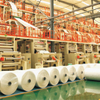 Paper Factory in China Supply Stone Paper PE Coated