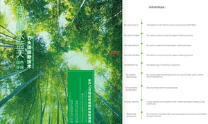 Paper Factory in China Supply Stone Paper PE Coated