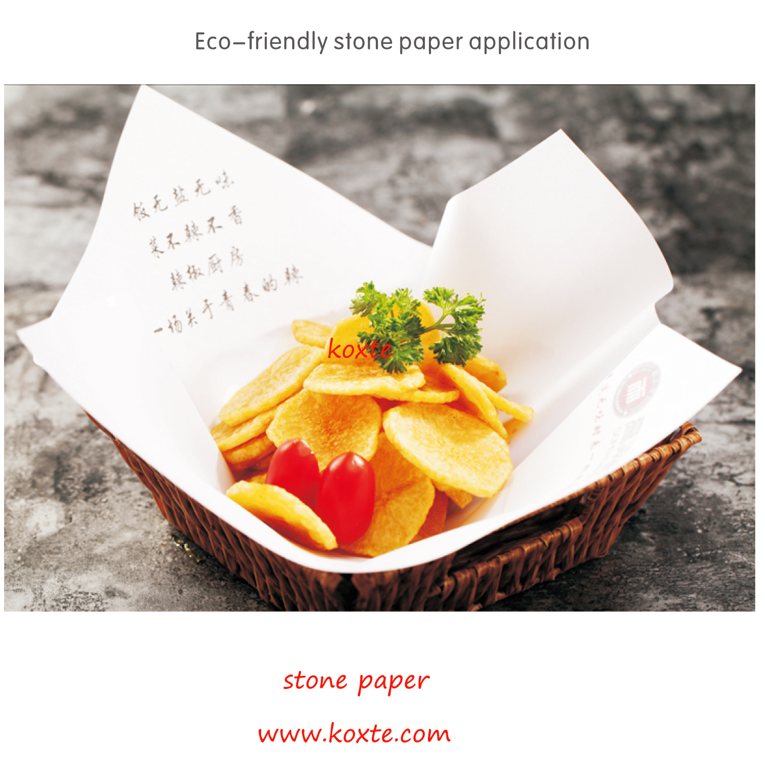 Paper Factory in China Supply Stone Paper PE Coated