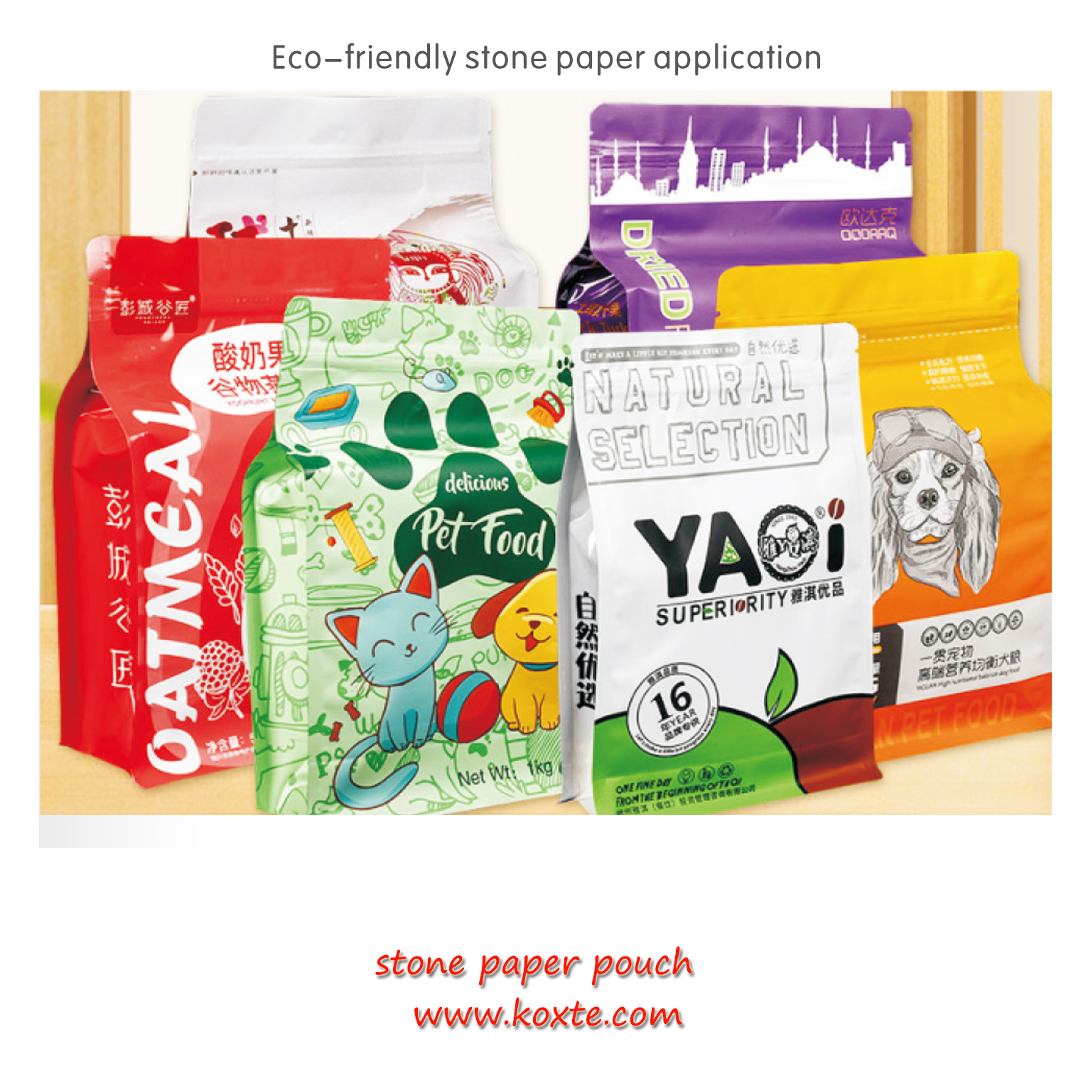 Paper Factory in China Supply Stone Paper PE Coated